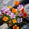 www.tiktok.comalexe