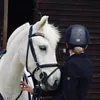 everythings_bugsie4