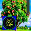 user5317104187966