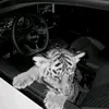 l9an6_2