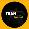 tramcamxuc293