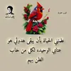 user6965152481435