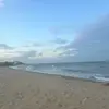 zuzannabiin