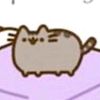 itsjicsms