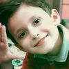 hammad.shami78