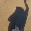 samira.samora6
