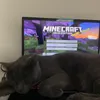 epischepizza