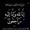 dina.hussein47