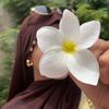 asa.misdi98sisi