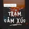 tramcamxucyeuthuong