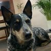 la_mejor_luluuu