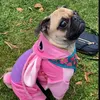 la.tt.izquierda.de