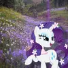 rarity_edits