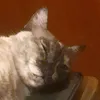 l_nimbus_l