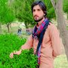 abdulqauom13