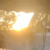 qdvgfg124