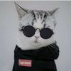 zennsud.id