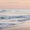 charlnorris6