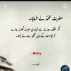 memon8181