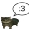 ghosdd.uuu