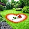 omar437557