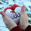 majidkhan.737
