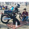 team_werrr