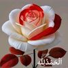 noman.shabeer.ahm