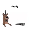 feddy213