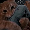 k0tik_meow0