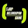 tjapselundupangank