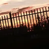 sofia_08750
