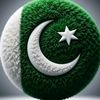 sanwalkhan5135