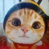 thaovy240117