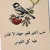user5680012495110