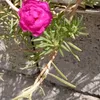 aebrahem_969