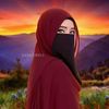 haii3082