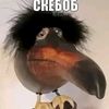 userj9zbp4ra98