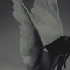 mxaxsx_