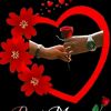 ms.hafsa73