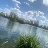ollie.maslen1234