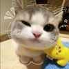_saloma_55