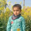 chsheri005