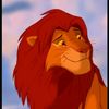 simba16888