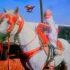hassanhamidi7812