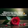 user5755530573654