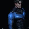 nightwingphysique