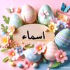amr.ahmd5