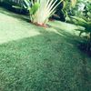 samuel.natanael02