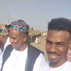بكري محمد عمر